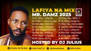 DOWNLOAD MP3: DJ Julius – Mr Damz Lafiya Na Mix 2025